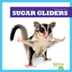 Book cover of: Sugar Gliders