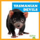 Book cover of: Tasmanian Devils. By: Deniston