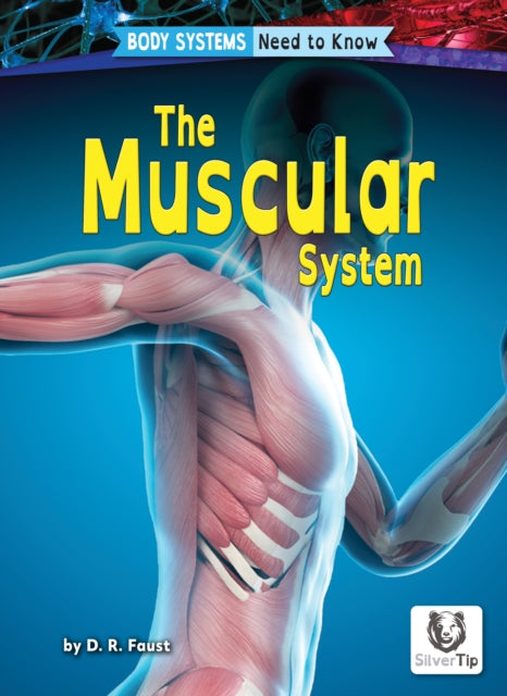 Muscular System