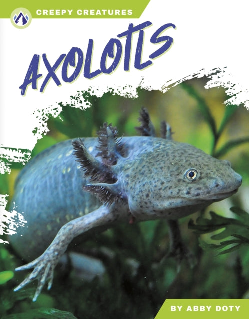 Book cover of: Axolotls