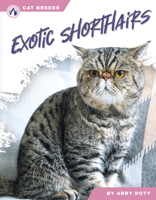 Book cover of: Exotic Shorthairs. By: Abby Doty