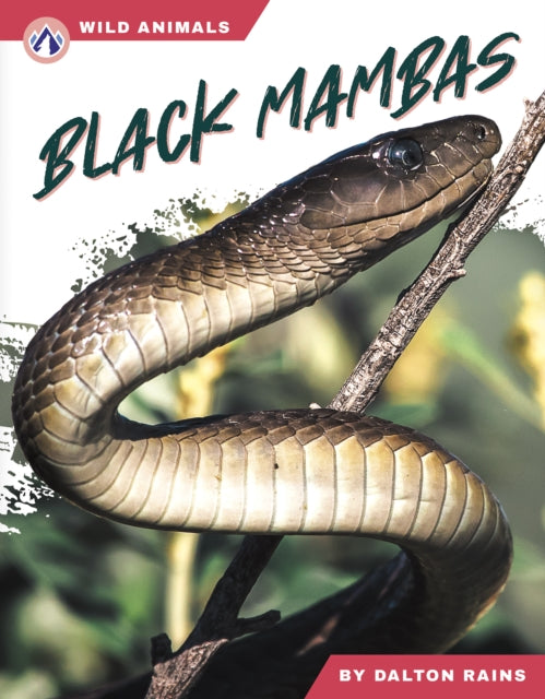 Book cover of: Black Mambas