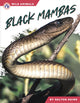 Book cover of: Black Mambas