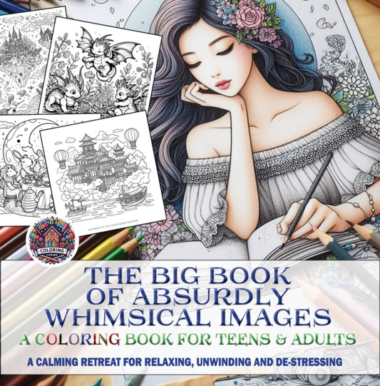 Book cover of: Big Book of Absurdly Whimsical Images. By: Sam Bianchi
