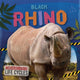 Book cover of: Black Rhino