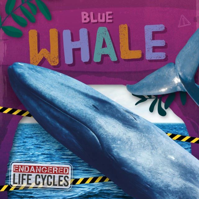Book cover of: Blue Whale