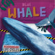 Book cover of: Blue Whale