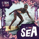 Book cover of: Extreme STEM in the Sea