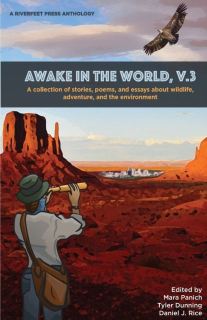 Book cover of: Awake in the World, Volume 3. By: Daniel J. Rice