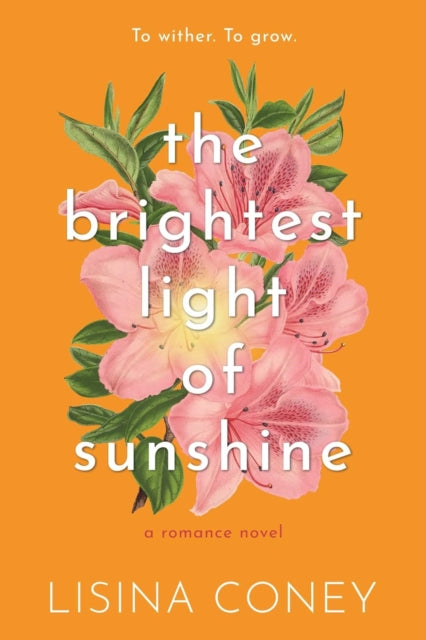 Book cover of: Brightest Light of Sunshine. By: Lisina Coney